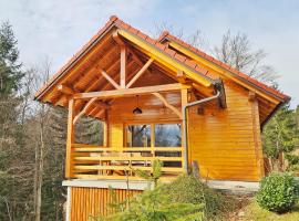 Ica - hišica v hribih, tradicionalna kućica u gradu 'Kamnik'