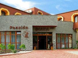 Penzion Diana, wellness hotel v Pie&scaron;ťanoch