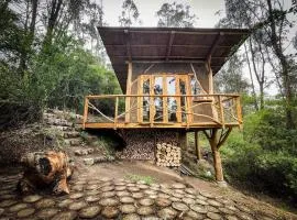 Cabaña del Bosque, Quito - Ilaló