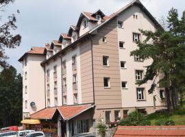 Konaciste Pepa: Divčibare şehrinde bir hostel