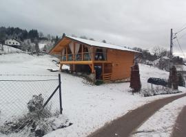 Chalet Alina, cabin in Borşa