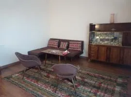 Spacious one bedroom apartment in the city centre