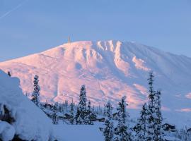 Gausta Lodge med elbillader, n&aelig;rhet til Gaustatoppen Ski in ski out, chal&eacute; em Gaustablikk