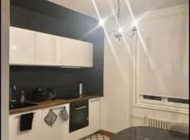 Appartement haussmanien rénové proche centre Lausanne