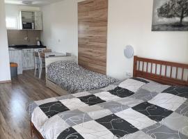 Ubytovanie Pepo, hotel ve Štúrově