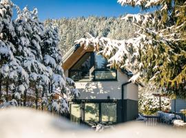 Domek Tatary Odkryj Zakopane