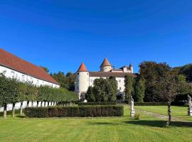 Charming Castle in Austria, family hotel in Schwertberg