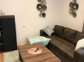 Mikra Homes24 in Zwickau