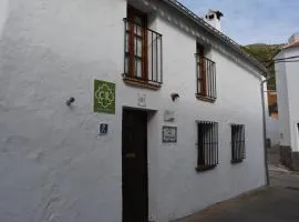 La Carrihuela Amarilla
