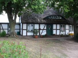 Landhaus Damerow 1, farm stay in Federow