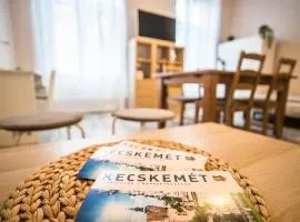 Entire Spacious Apartment in Central Kecskemét