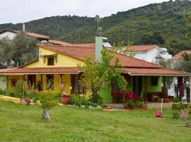 Zina's House