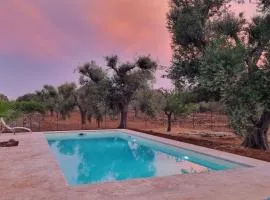 Hübsche Villa mit privatem Pool im Olivenhain