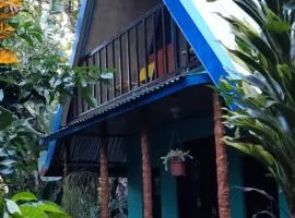 Cabaña bosque verde