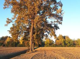 La Villa delle Rose, ubytování v soukromí v destinaci Carpi