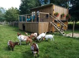Le Cabanon