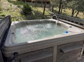 Lazy Bear and CubHouse: 5 Bedroom Beauty with Room for the Whole Crew!!