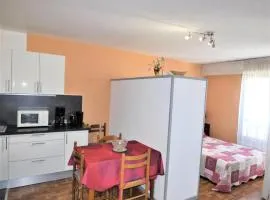 Résidence Le Chateau Durieux 3 - Très belle vue pour ce petit studio au calme ! MAE-7724