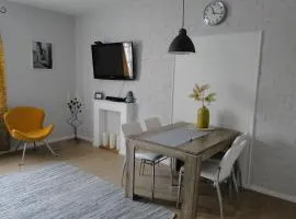 Apartament w centrum Starego Miasta 2