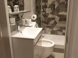 Central London property-ensuite, double and budget room