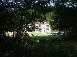 Résidence du Château Lublin