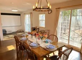 Free BBQ Projecter Yatsugatake Angel #AG1