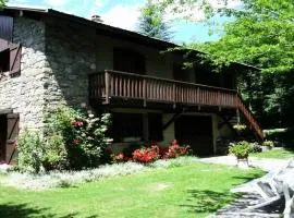 Chalet Belvedere-vallouise - Chalet avec vue sur Vallouise 9 personnes MAE-2424