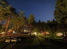 Wooden lodge with jacuzzi, cabin in Rečica ob Savinji