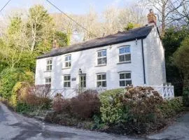 Rose in Vale Cottage