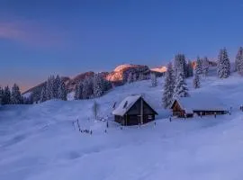 Jörgenbauerhütte