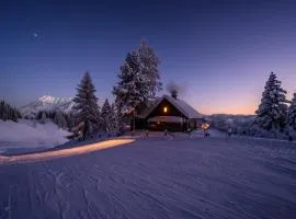Jagdhütte Gammeringalm