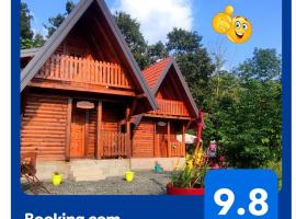 Seoski Turizam Feniks - apartman Ostrog, hotel v mestu Kosjeric