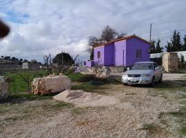 Jerash mountain studio chalet شاليه جبال جرش و عجلون, koliba u gradu Džeraš