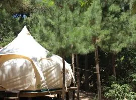 Glamping de Matanzas