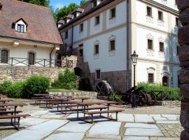 Penzion Šiškův mlýn, guest house in Vanov