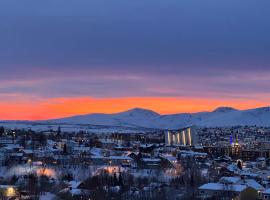 Large house with spectacular view, hotel i Tromsø