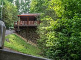 Holly Tree Hideaway - Semi Secluded Mtn Setting, villa i Sevierville