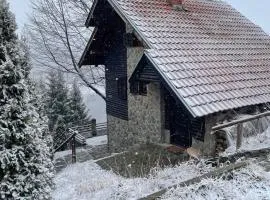 Planinska kuća Savić, Kopaonik