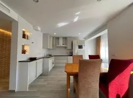 Igidelux 2