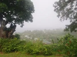 NoKo home