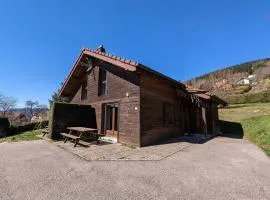Chalet convivial à Gérardmer avec cheminée, proche du lac et des pistes, idéal famille et rando - FR-1-589-95