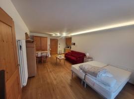 monolocale Ambrosi, cheap hotel in Pinzolo