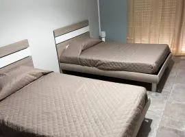 Damilhouse 7