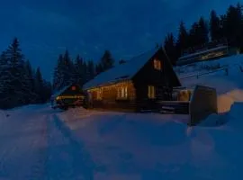 Almhütte Hebalm mit Whirpool