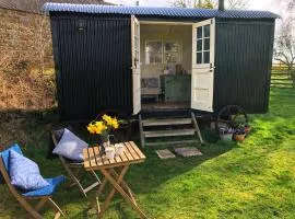 shepherd hut glamping in Northumberland