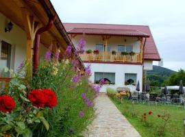 Pensiunea Poezii Alese, παραθεριστική κατοικία σε Valea Draganului