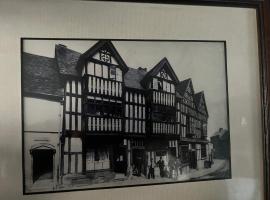 Little Libertys, apartment in Shrewsbury