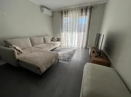 Brand new condo for rent