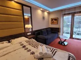 ASENATA Pokoje i Apartamenty Ustroń Centrum, basen letni, komfort, widok na góry