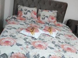 Stan na dan Loznica, pet-friendly hotel in Loznica